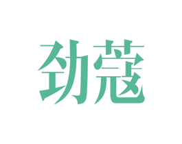 劲蔻 第42类技术服务商标图样