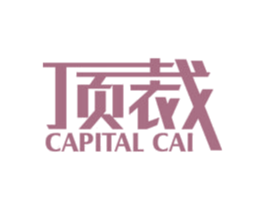 顶裁  CAPITAL CAI 第42类技术服务商标图样