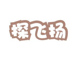 探飞扬 第41类教育娱乐商标图样