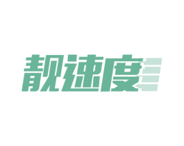 靓速度 第39类运输旅行商标图样