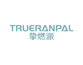 挚燃派 TRUERANPAL 第11类家用电器商标图样