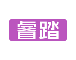 睿踏 第10类医疗器械商标图样