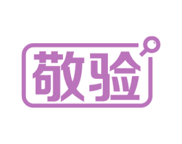 敬验 第9类科学仪器商标图样