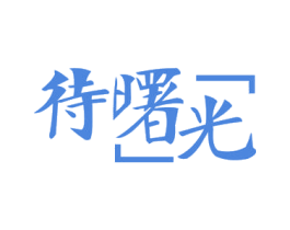 待曙光 第9类科学仪器商标图样