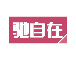 驰自在 第9类科学仪器商标图样