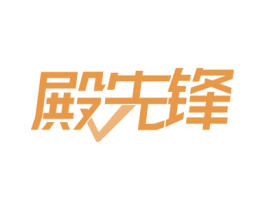殿先锋 第9类科学仪器商标图样
