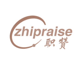 职赞 ZHIPRAISE 第9类科学仪器商标图样