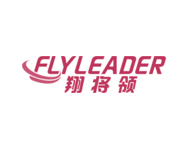 FLYLEADER 翔将领 第11类家用电器商标图样