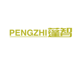 蓬智 第9类科学仪器商标图样