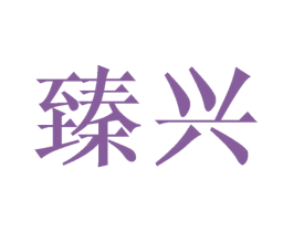臻兴 第25类服装鞋帽商标图样
