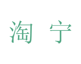 淘宁 第9类科学仪器商标图样