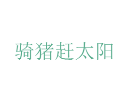 骑猪赶太阳 第9类科学仪器商标图样