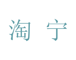 淘宁 第25类服装鞋帽商标图样