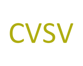 CVSV 第25类服装鞋帽商标图样