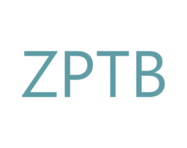 ZPTB 第25类服装鞋帽商标图样