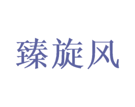 臻旋风 第29类食品商标图样