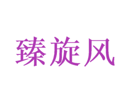 臻旋风 第30类小食配料商标图样