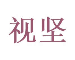 视坚 第9类科学仪器商标图样