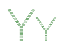 YY 第14类珠宝钟表商标图样