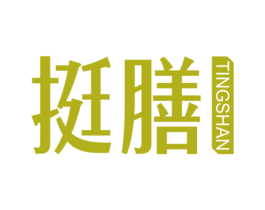 挺膳 第21类厨房洁具商标图样