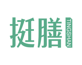 挺膳 第11类家用电器商标图样