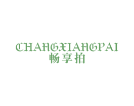 畅享拍 第9类科学仪器商标图样