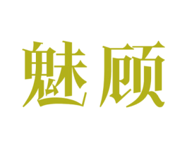魅顾 第9类科学仪器商标图样