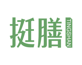 挺膳 第8类手工器械商标图样