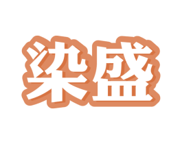染盛 第2类颜料油漆商标图样