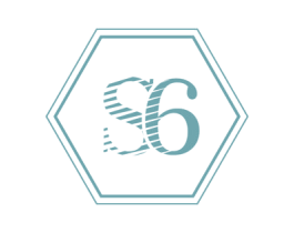 S6 第29类食品商标图样