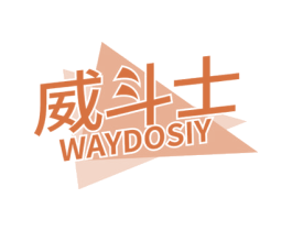 威斗士 WAYDOSIY 第9类科学仪器商标图样