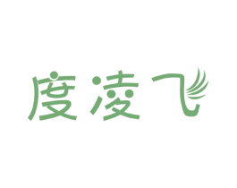 度凌飞 第9类科学仪器商标图样