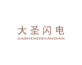 大圣闪电 第25类服装鞋帽商标图样