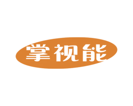 掌视能 第9类科学仪器商标图样