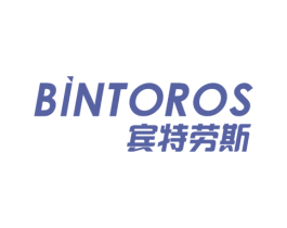 宾特劳斯 BINTOROS 第9类科学仪器商标图样