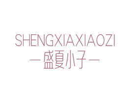 盛夏小子 第25类服装鞋帽商标图样