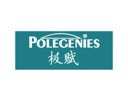 极赋 POLEGENIES 第16类办公工具商标图样