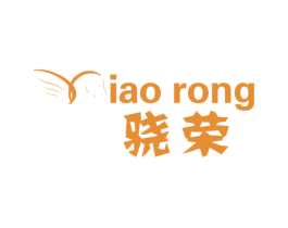 骁荣 IAO RONG 第9类科学仪器商标图样