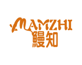 鳗知 MAMZHI 第9类科学仪器商标图样