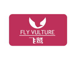 飞鹫 FLY VULTURE 第9类科学仪器商标图样