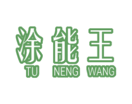 涂能王 第2类颜料油漆商标图样