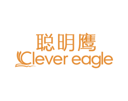 聪明鹰 CLEVER EAGLE 第41类教育娱乐商标图样