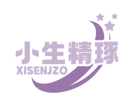 小生精琢 XISENJZO 第41类教育娱乐商标图样