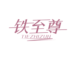 铁至尊 第21类厨房洁具商标图样