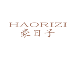 豪日子 第9类科学仪器商标图样