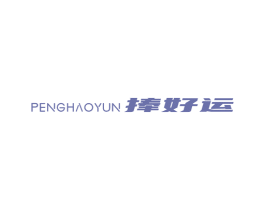 捧好运 第9类科学仪器商标图样