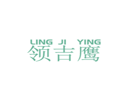 领吉鹰 第9类科学仪器商标图样