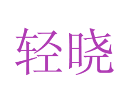轻晓 第10类医疗器械商标图样
