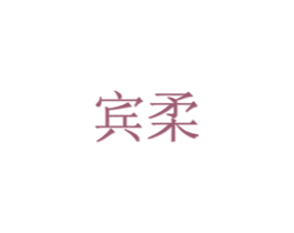 宾柔 第11类家用电器商标图样
