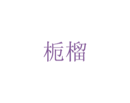 栀榴 第16类办公工具商标图样